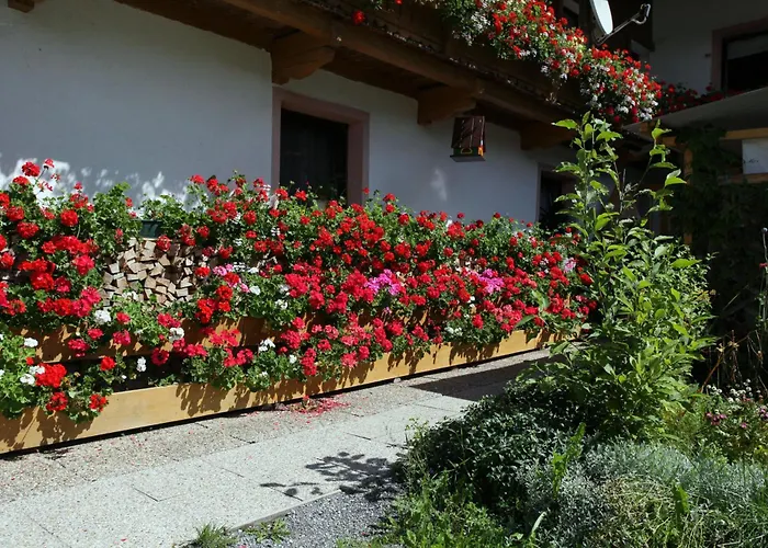 Migglwieshof شقة Kelchsau