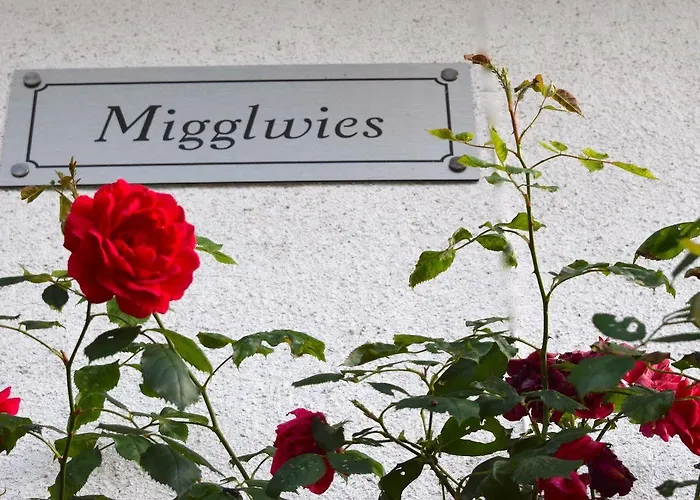 Migglwieshof アパート