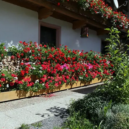 Migglwieshof Appartement Kelchsau